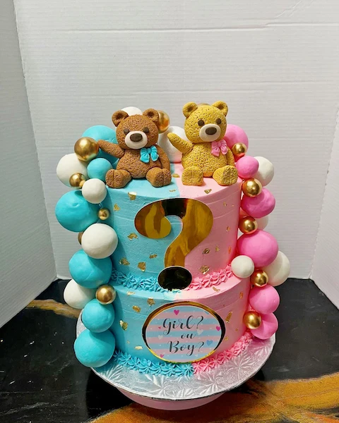 Gâteau Girl or Boy